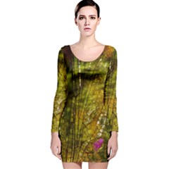 Dragonfly Dragonfly Wing Insect Long Sleeve Velvet Bodycon Dress by Nexatart