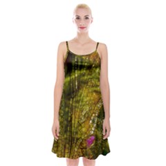 Dragonfly Dragonfly Wing Insect Spaghetti Strap Velvet Dress by Nexatart