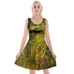 Dragonfly Dragonfly Wing Insect Reversible Velvet Sleeveless Dress by Nexatart