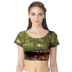 Red Deer Deer Roe Deer Antler Short Sleeve Crop Top (tight Fit) by Nexatart