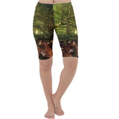 Red Deer Deer Roe Deer Antler Cropped Leggings 