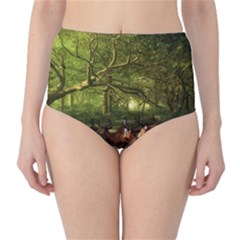 Red Deer Deer Roe Deer Antler High-waist Bikini Bottoms by Nexatart