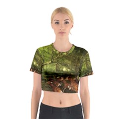 Red Deer Deer Roe Deer Antler Cotton Crop Top by Nexatart