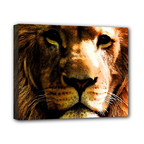 Lion  Canvas 10  X 8  by Valentinaart