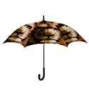 Lion  Hook Handle Umbrellas (Small) View3