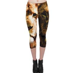 Lion  Capri Leggings  by Valentinaart