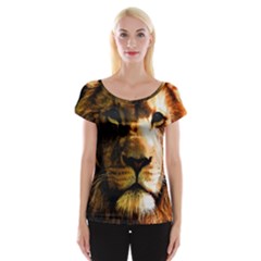 Lion  Women s Cap Sleeve Top by Valentinaart