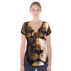 Lion  Short Sleeve Front Detail Top by Valentinaart