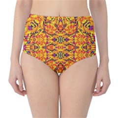 Colorful Vibrant Ornate High-waist Bikini Bottoms by dflcprintsclothing