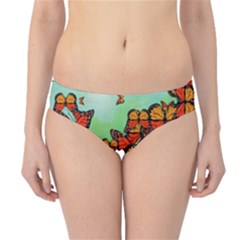 Monarch Butterflies Hipster Bikini Bottoms by linceazul