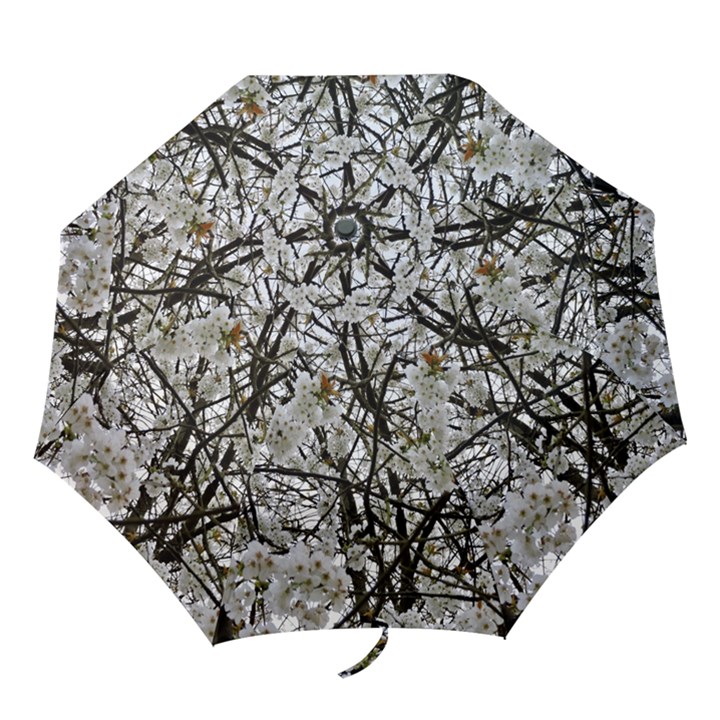 Blossom Folding Umbrellas