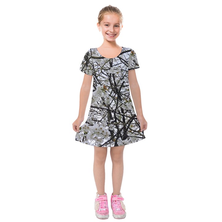 Blossom Kids  Short Sleeve Velvet Dress