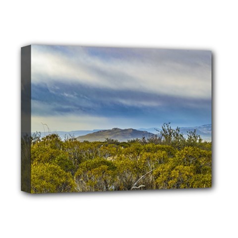 Patagonian Lanscape Scene, Santa Cruz, Argentina Deluxe Canvas 16  X 12   by dflcprints