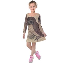 Vintage Owl Kids  Long Sleeve Velvet Dress by Valentinaart