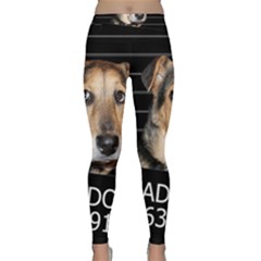 Bed Dog Classic Yoga Leggings