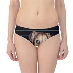 Bed Dog Hipster Bikini Bottoms by Valentinaart