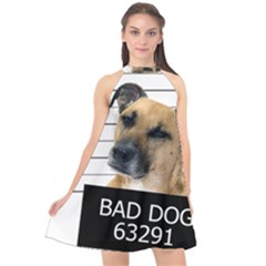 Bad Dog Halter Neckline Chiffon Dress  by Valentinaart