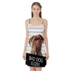 Bad Dog Satin Night Slip