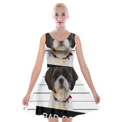 Bad Dog Velvet Skater Dress by Valentinaart