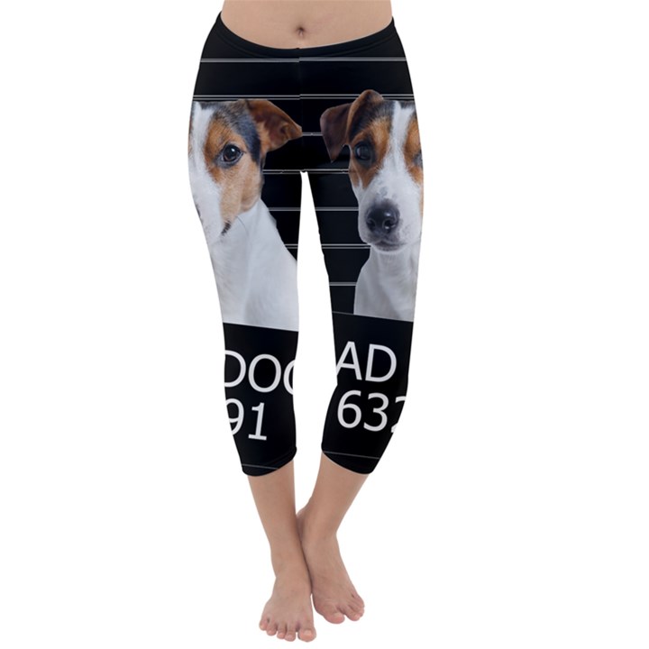 Bad dog Capri Winter Leggings 