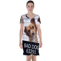 Bad Dog Short Sleeve Nightdress by Valentinaart