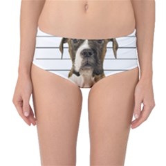 Bad Dog Mid-waist Bikini Bottoms by Valentinaart