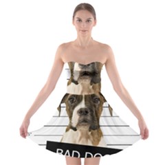 Bad Dog Strapless Bra Top Dress by Valentinaart