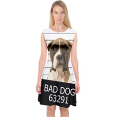 Bad Dog Capsleeve Midi Dress by Valentinaart