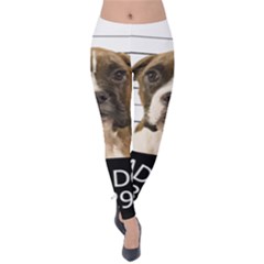 Bad Dog Velvet Leggings by Valentinaart