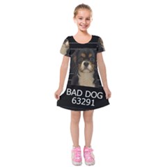 Bad Dog Kids  Short Sleeve Velvet Dress by Valentinaart