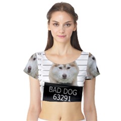 Bad Dog Short Sleeve Crop Top (tight Fit) by Valentinaart