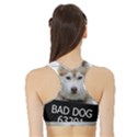 Bad dog Sports Bra with Border View2