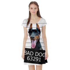 Bad dog Short Sleeve Skater Dress