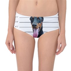 Bad dog Mid-Waist Bikini Bottoms