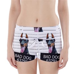 Bad dog Boyleg Bikini Wrap Bottoms