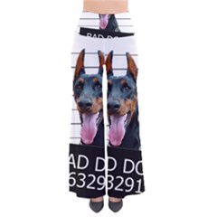 Bad dog Pants