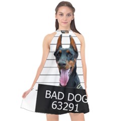 Bad dog Halter Neckline Chiffon Dress 