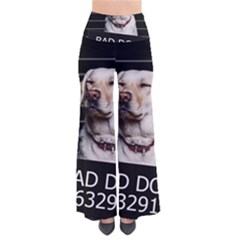 Bad Dog Pants by Valentinaart