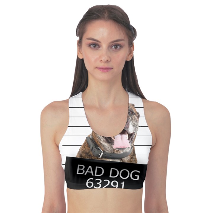 Bad dog Sports Bra