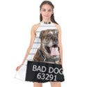 Bad dog Halter Neckline Chiffon Dress  View1