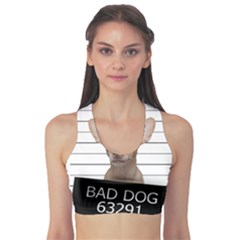 Bad Dog Sports Bra by Valentinaart