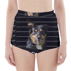 Bad Dog High-waisted Bikini Bottoms by Valentinaart