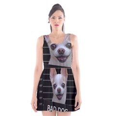 Bad Dog Scoop Neck Skater Dress by Valentinaart