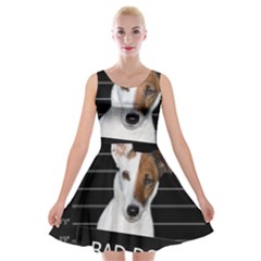 Bad Dog Velvet Skater Dress by Valentinaart