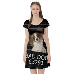 Bad Dog Short Sleeve Skater Dress by Valentinaart