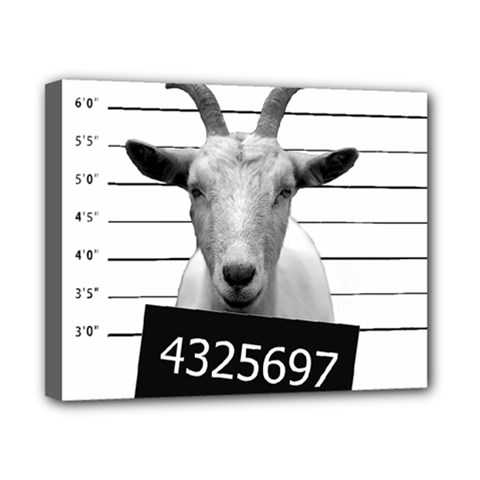 Criminal Goat  Canvas 10  X 8  by Valentinaart