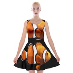 Clown Fish Velvet Skater Dress by Valentinaart