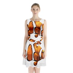 Clown Fish Sleeveless Chiffon Waist Tie Dress by Valentinaart