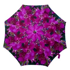 Pretty In Fuchsia Hook Handle Umbrellas (small)