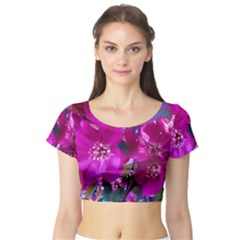 Pretty In Fuchsia Short Sleeve Crop Top (tight Fit) by dawnsiegler